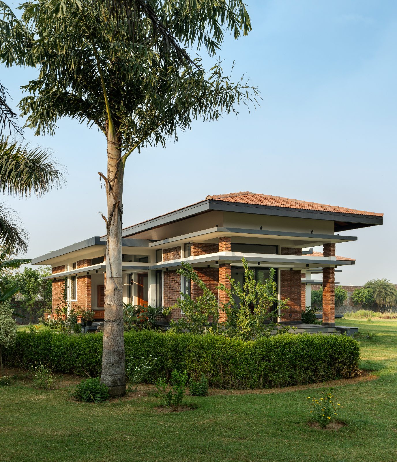 garden-home-sohna-haryana-exterior-palm-garden-view-architecture-photography